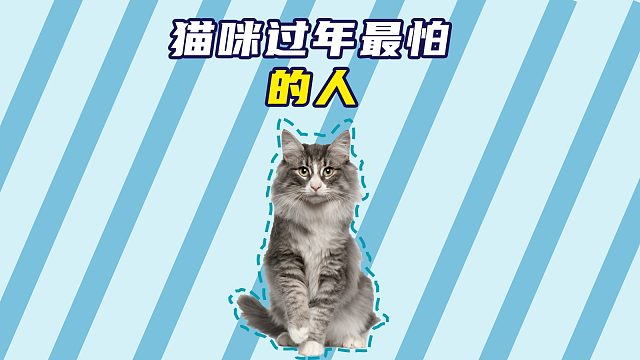 熊孩子这样对待猫咪，一定要制止！