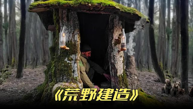 仅是看了一眼这棵枯树就变成了庇护所还有壁炉和宽敞的客厅