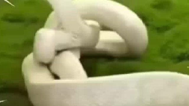 这就是贪吃蛇吗 狠起来连自己都咬