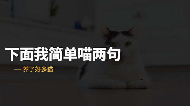 猫咪闯入教室，还跳上了讲台 