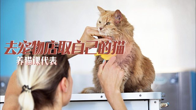 猫：妈你找啥呢，我帮你找找？