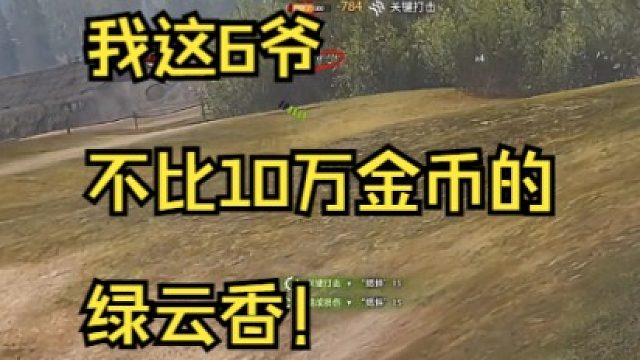 我这6爷不比10万金币的绿云香！