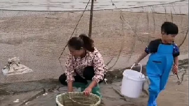 户外赶海抓海鲜