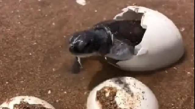 带你去体验渔民的生活