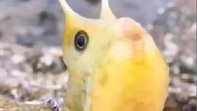 赶海赶海赶海啦