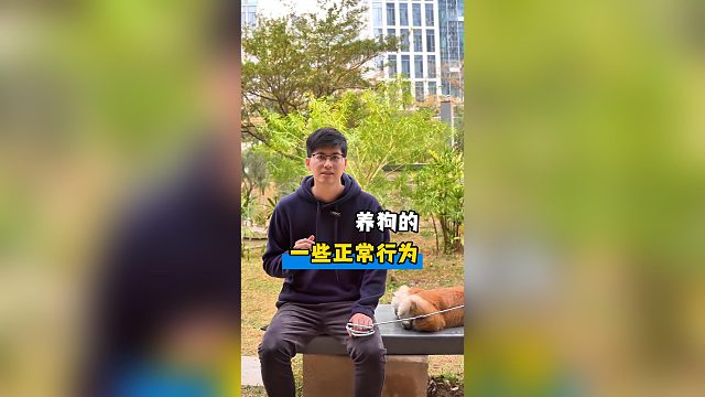 狗狗这些行为很正常，养狗别太焦虑