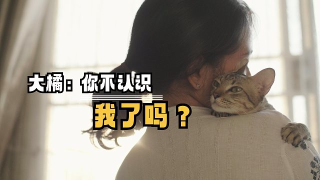 大橘：你不认识我了吗？我等你三年了！