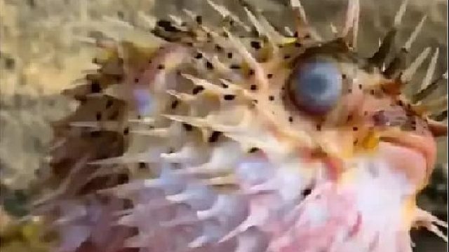 赶海赶海赶海啦