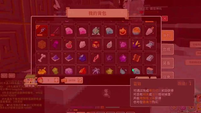 直播第七天回放