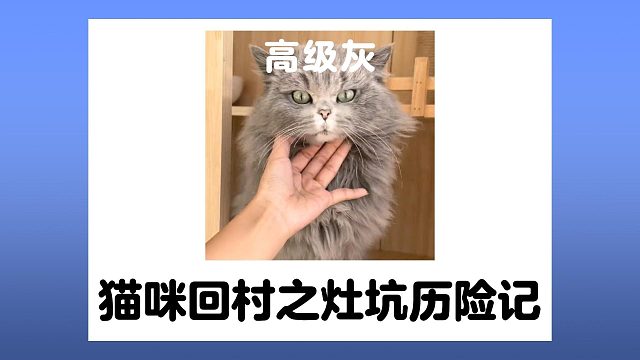 猫咪回村之灶坑历险记，整了个限定皮肤