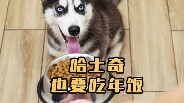 哈士奇：大哥们别聊了，给我整一口！