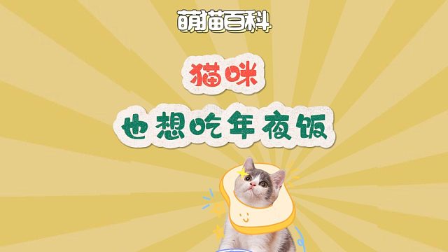 小猫能有什么坏心思呢？它只是想吃年夜饭！