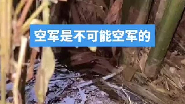 空军是不可能空军的