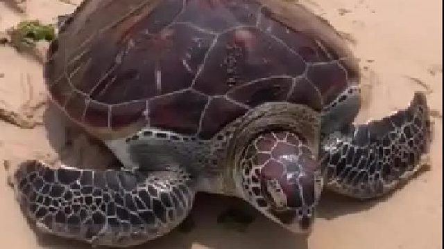 带你去体验渔民的生活