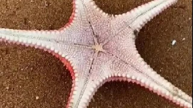 赶海赶海赶海啦