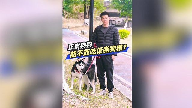 正常狗狗能不能吃低脂狗粮？