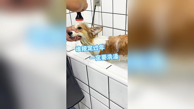 到底谁规定过年前一定要洗澡啊