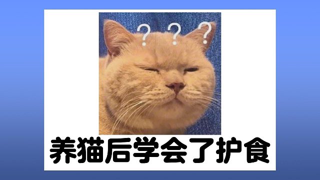 养了猫之后，人学会了护食