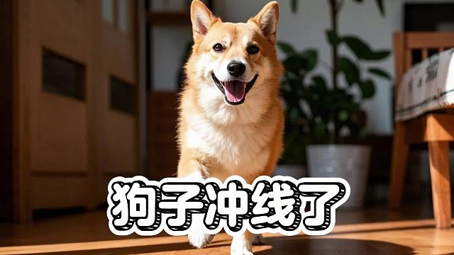 狗子冲线了，要不要奖励它