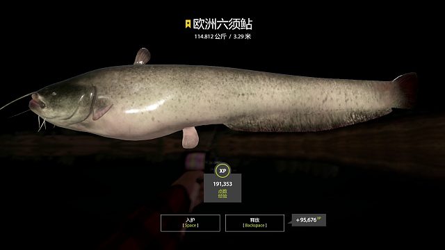 路亚猪好久不见