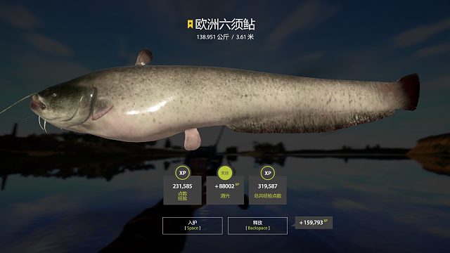 瘟猪，天黑拉到天黑。