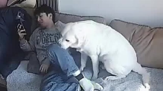 女生从监控看到男友和狗狗相处的一幕 打着打着就相拥而睡了网友:看出来了这是真爱