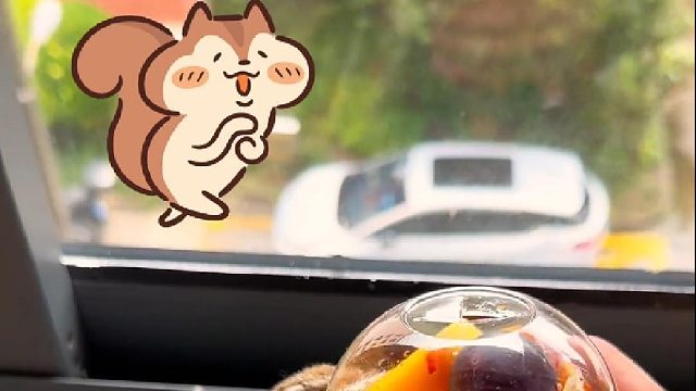 诚实是小松鼠最好的美德！嘿嘿