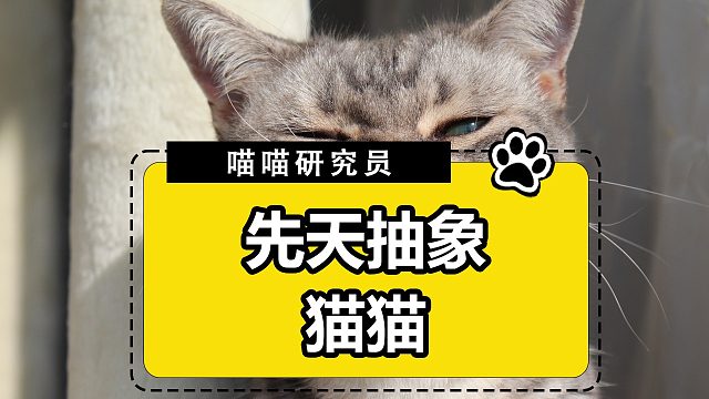 先天抽象猫猫，长成这样怎么不算是天赋呢