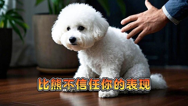 比熊不信任你的信号，你察觉没