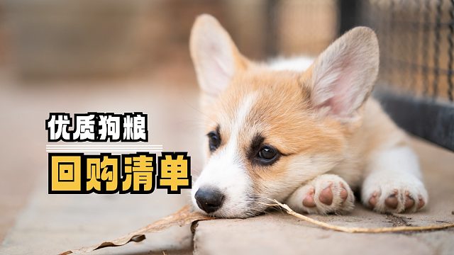 柯基需要的维生素，有哪些呢？