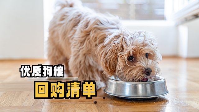 值得回购的5款优质狗粮，快来抄作业吧