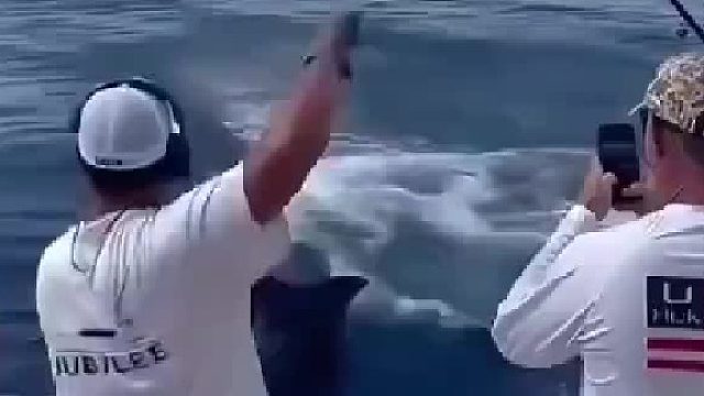 海钓最怕钓到剑鱼