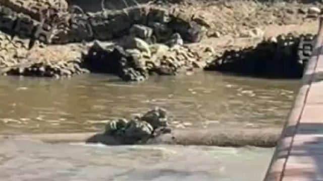 堵塞一百年了吧？