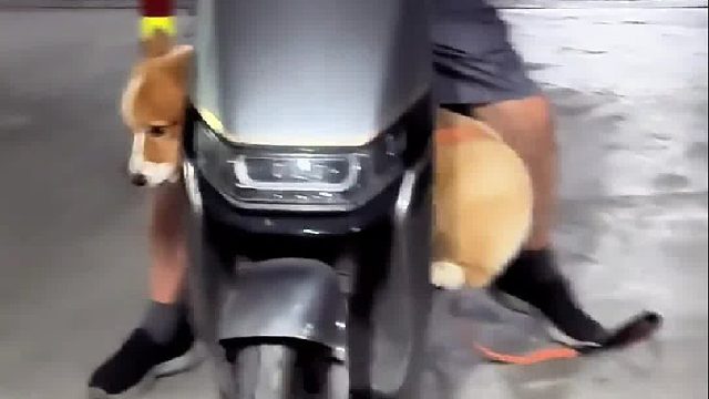 晚上再带到凉快的车库坐电动车玩会