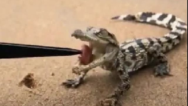 赶海赶海赶海啦