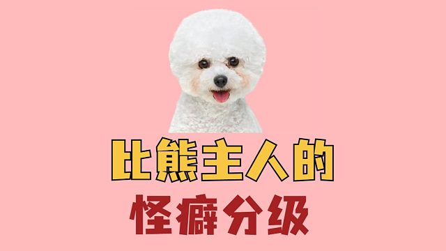 比熊主人的怪癖分级，快来看看你在哪一级！