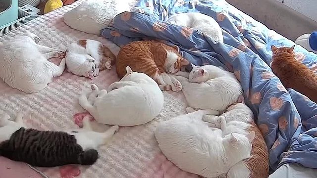 白毛：我没定闹铃啊