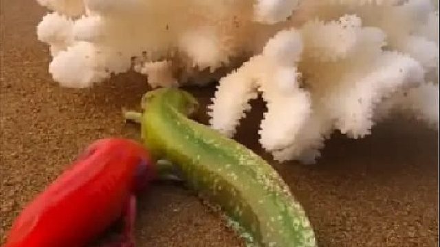 带你去体验渔民的生活