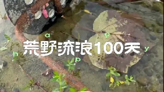 我找到了新的活计