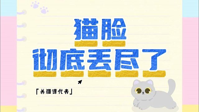 回村的小猫，能闯多大祸