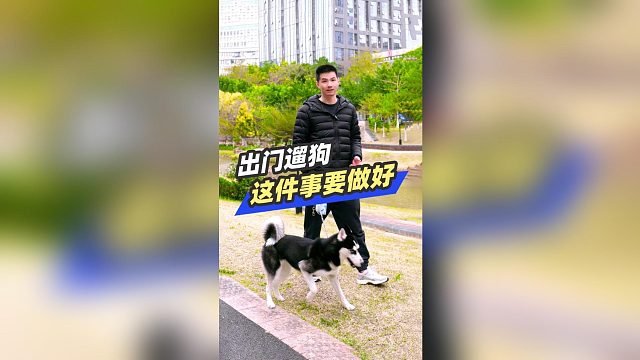 出门遛狗，这件事要做好