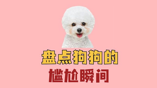 盘点狗狗的尴尬瞬间