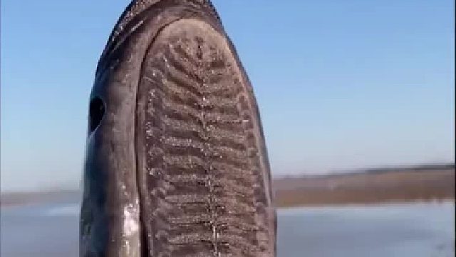 带你去体验渔民的生活