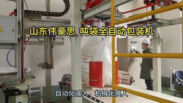 硫酸镁吨袋全自动包装机 全自动吨包秤非标定制 山东伟豪思
