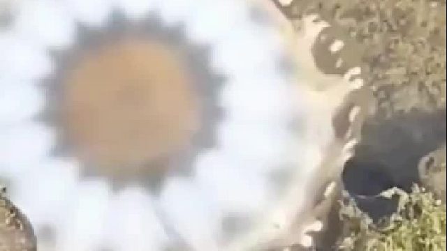 赶海赶海赶海啦