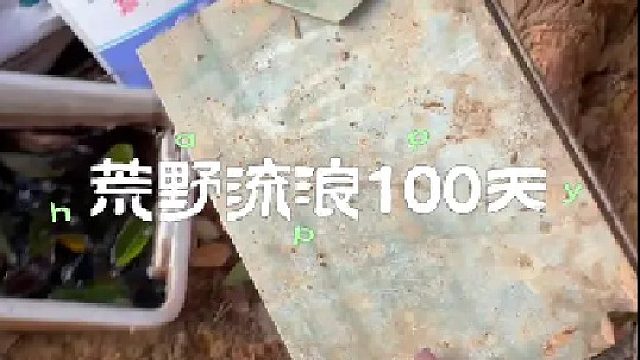 找到一本藏宝图