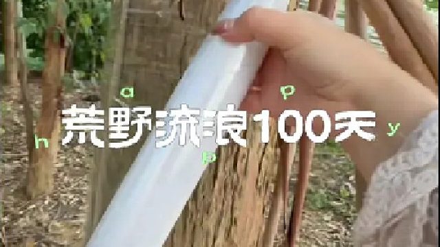 加固童话世界以防冬天再次被人偷走