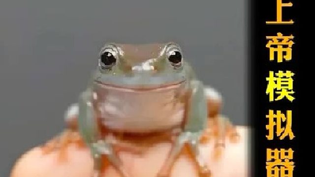 上帝模拟器之蝌蚪变青蛙，看小呱呱如何征服妙木山