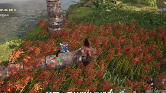 荒野求生，开启精彩冒险