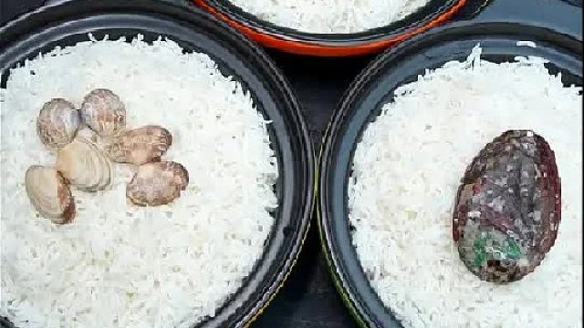 今天都是海鲜哦！你们怎么看？